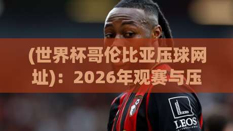 (世界杯哥伦比亚压球网址):2026年观赛与压球安全指南