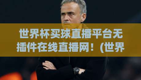 世界杯买球直播平台无插件在线直播网!(世界杯买球直播平台无插件在线直播网) 2026看球指南与避坑心得
