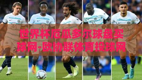 世界杯厄瓜多尔球盘买球网-欧协联体育投球网:2026年最新投注策略与平台选择指南