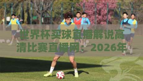 世界杯买球直播解说高清比赛直播网:2026年观赛指南,你选对平台了吗?