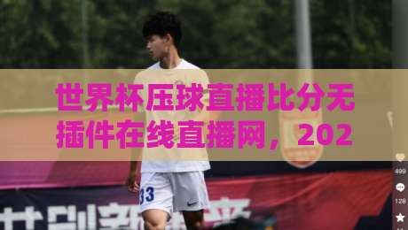 世界杯压球直播比分无插件在线直播网,2026年球迷必备的观赛神器!