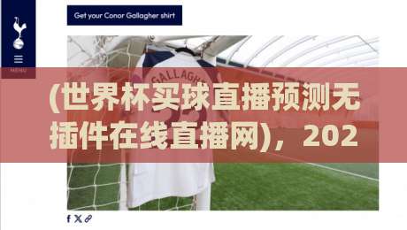 (世界杯买球直播预测无插件在线直播网),2026年世界杯观赛新选择:无插件高清直播与智能预测分析让你不错过任何精彩瞬间