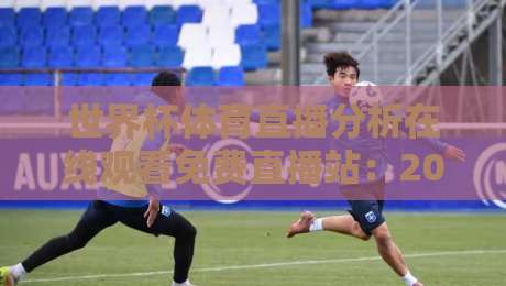 世界杯体育直播分析在线观看免费直播站:2026年观赛指南与实用技巧