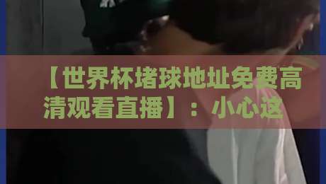 【世界杯堵球地址免费高清观看直播】:小心这些陷阱!2026年官方观赛指南