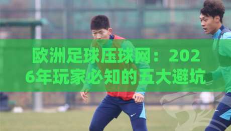 欧洲足球压球网:2026年玩家必知的五大避坑指南 欧洲足球压球网:2026年玩家必知的五大避坑指南