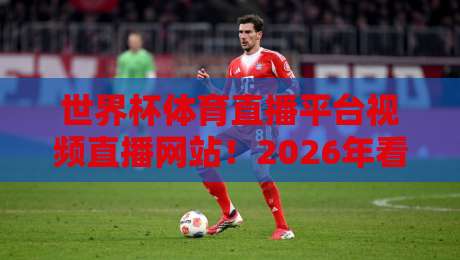 世界杯体育直播平台视频直播网站!2026年看球必备的5个隐藏技巧