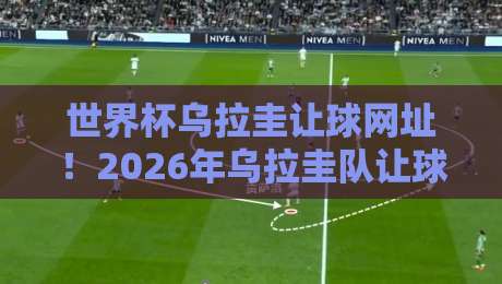 世界杯乌拉圭让球网址!2026年乌拉圭队让球盘深度解析与实战指南