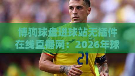 博狗球盘进球站无插件在线直播网：2026年球迷必看的实时比分神器