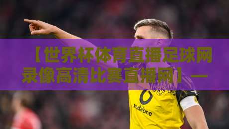【世界杯体育直播足球网录像高清比赛直播网】——2026看球新姿势，高清录像一网打尽！