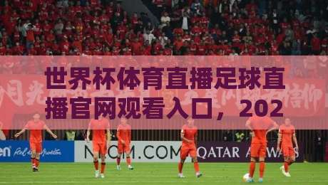 世界杯体育直播足球直播官网观看入口,2026年最新观赛指南与避坑技巧
