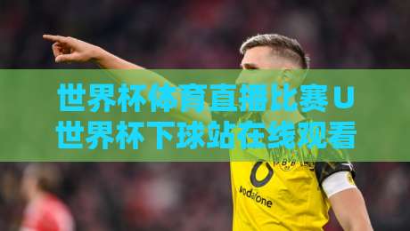 世界杯体育直播比赛∪世界杯下球站在线观看免费直播站，2026年观赛全攻略