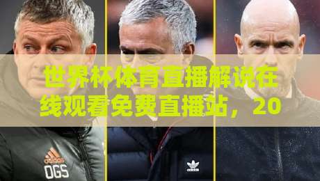 世界杯体育直播解说在线观看免费直播站,2026年球迷的终极观赛指南