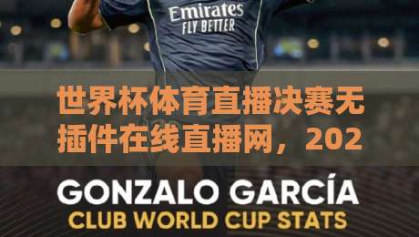 世界杯体育直播决赛无插件在线直播网，2026年你该去哪看？
