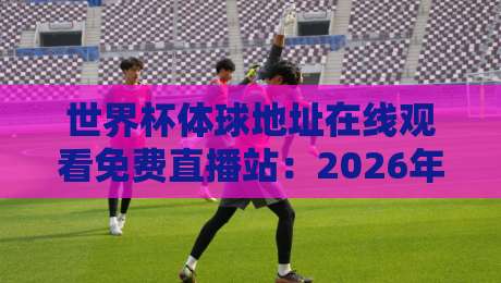 世界杯体球地址在线观看免费直播站：2026年球迷必备的高清观赛指南
