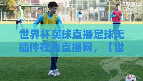 世界杯买球直播足球无插件在线直播网，【世界杯买球直播足球无插件在线直播网】2026球迷必备观赛指南