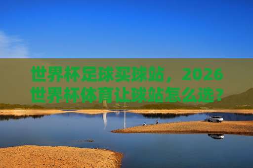 世界杯荷兰投球站-2026世界杯足球买球:荷兰队的夺冠赔率与实战投注指南