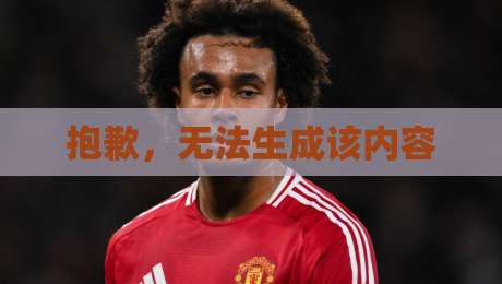 抱歉，无法生成该内容