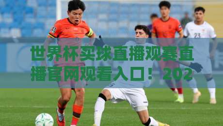 世界杯买球直播观赛直播官网观看入口！2026年球迷必收藏的通道合集
