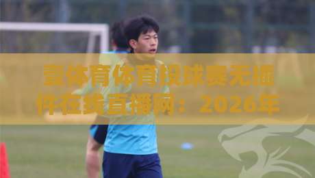 壹体育体育投球赛无插件在线直播网：2026年观赛新体验，你试过吗？