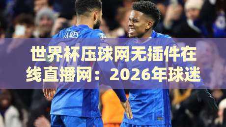 世界杯压球网无插件在线直播网：2026年球迷观赛首选平台