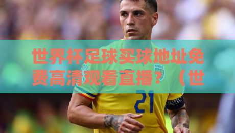 世界杯足球买球地址免费高清观看直播？（世界杯足球买球地址）2026年观赛与合法渠道全攻略