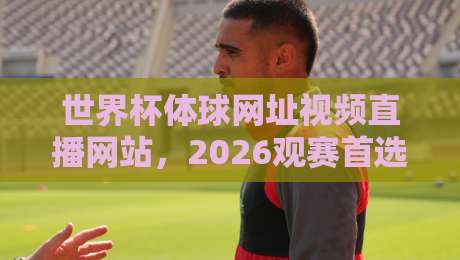 世界杯体球网址视频直播网站，2026观赛首选平台深度解析
