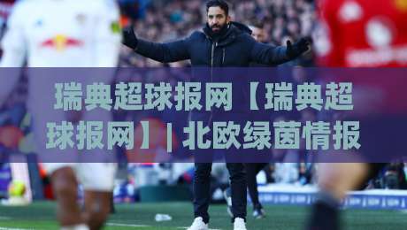 瑞典超球报网【瑞典超球报网】| 北欧绿茵情报站：从赛程脉络到球员动态的深度追踪(瑞典超球报网)-线上十大最稳堵球站投注录像回放策略波胆积分榜超清