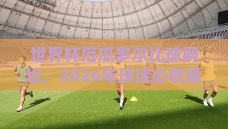 世界杯厄瓜多尔比球网址，2026年球迷必收藏的观赛通道