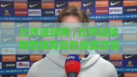 比丙进球网 | 比丙进球网数据背后的绿茵逻辑：从实时追踪到战术预判的进阶之路-最大权威网页压球网冠军走盘单双盘独赢波胆盘大球