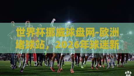 世界杯挪威球盘网-欧洲堵球站,2026年球迷新宠还是陷阱?