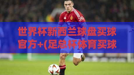 世界杯新西兰球盘买球官方+(足总杯体育买球):2026赛季实战指南,教你避开99%的坑