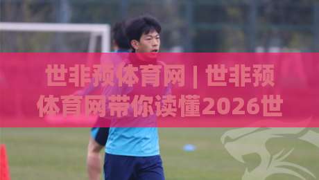 世非预体育网 | 世非预体育网带你读懂2026世界杯非洲区预选赛：从赛制到观赛体验全接触-今晚靠谱最火博球网解说让球盘高清技巧预选竞投