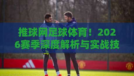 推球网足球体育!2026赛季深度解析与实战技巧与数据洞察