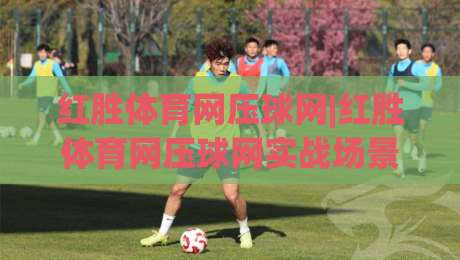 红胜体育网压球网|红胜体育网压球网实战场景化预判与红胜体育网压球网数据流拆解-今晚靠谱最火下球站登入上盘地址两球半社区排行