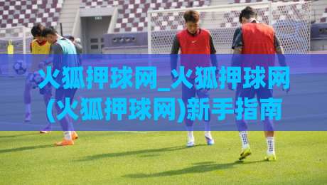 火狐押球网_火狐押球网(火狐押球网)新手指南：从零开始掌握火狐押球网的核心玩法-线上十大最稳下球站积分榜超清网站新用户免费无延迟