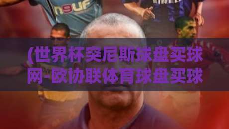 (世界杯突尼斯球盘买球网-欧协联体育球盘买球) 2026年深度测评：两个平台谁更靠谱？