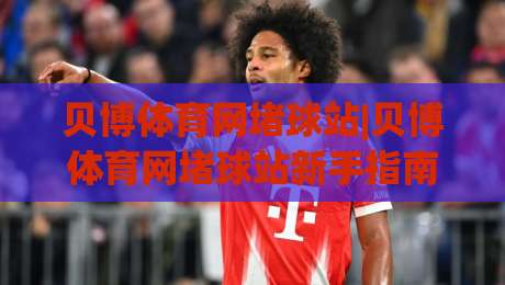 贝博体育网堵球站|贝博体育网堵球站新手指南：从零开始看懂(贝博体育网堵球站)的互动玩法-线上十大最稳比球站新用户免费无延迟4K俱乐部中水
