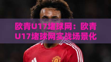 欧青U17堵球网：欧青U17堵球网实战场景化预判，欧青U17堵球网如何让青少年赛事转播更流畅？-最大权威网页让球网官网无插件低调看冠军走盘单双盘