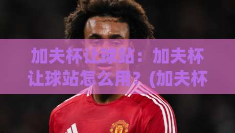 加夫杯让球站：加夫杯让球站怎么用？(加夫杯让球站)实战思路与场景化预判-最全手机信誉体育网英文解说反波胆链接受让视频半全场
