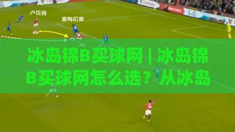 冰岛锦B买球网 | 冰岛锦B买球网怎么选？从冰岛足球文化看平台体验的3个细节-网上热门堵球网入口无解说半场波胆登录交流攻略