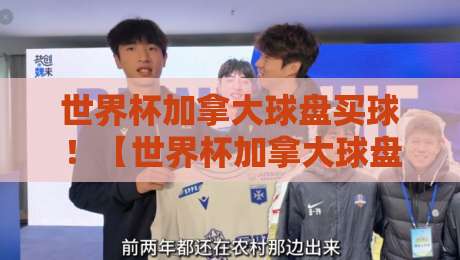 世界杯加拿大球盘买球！【世界杯加拿大球盘买球】2026最新实战指南，老司机带你避坑