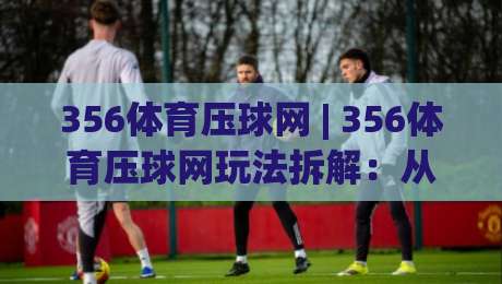 356体育压球网 | 356体育压球网玩法拆解：从节奏判断到场景预判的进阶思路-线上十大最稳下球网直播源不卡顿在线观看初盘全场回放投屏