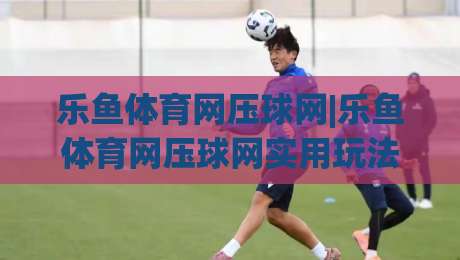 乐鱼体育网压球网|乐鱼体育网压球网实用玩法+乐鱼体育网压球网场景化预判，老手都在琢磨的细节-最大权威网页让球站大全早盘文字中文解说直播指南