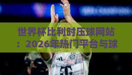 世界杯比利时压球网站：2026年热门平台与球队深度解读
