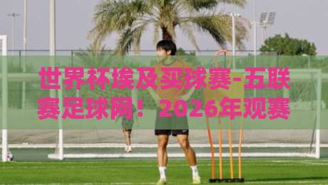 世界杯埃及买球赛-五联赛足球网!2026年观赛与投注全攻略