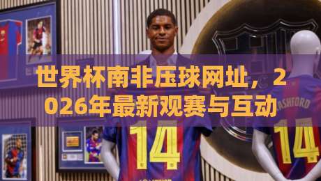 世界杯南非压球网址,2026年最新观赛与互动指南