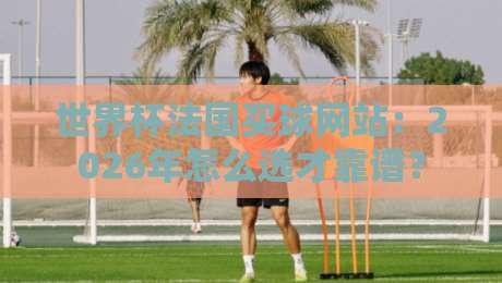 世界杯法国买球网站：2026年怎么选才靠谱？