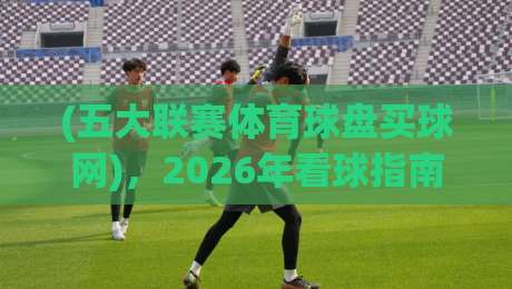 (五大联赛体育球盘买球网),2026年看球指南:这些盘口秘密你知道吗?