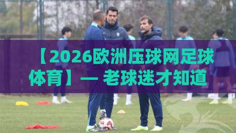 【2026欧洲压球网足球体育】— 老球迷才知道的门道,新赛季下注前必看