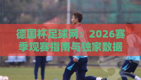 德国杯足球网：2026赛季观赛指南与独家数据分析